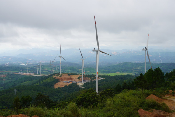 Quảng Trị: 12 dự án điện gió chậm tiến độ do GPMB và huy động tài chính