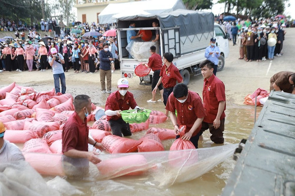 Nghệ An: Chùa Viên Quang phóng sinh 12 tấn cá xuống sông Lam