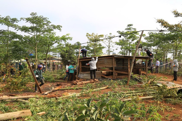Đắk Glong (Đắk Nông): Quyết liệt thu hồi đất rừng bị lấn chiếm dọc Quốc lộ 28