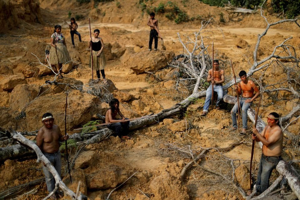 3 tháng qua, nạn phá rừng Amazon tại Brazil lập kỷ lục mới