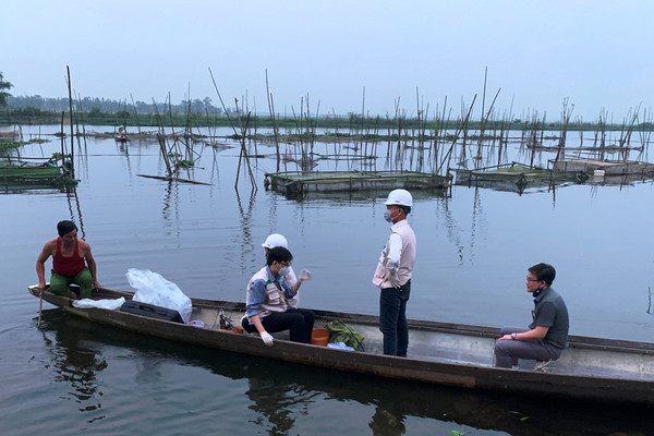 Thừa Thiên – Huế: Cá nuôi lồng bất ngờ chết hàng loạt