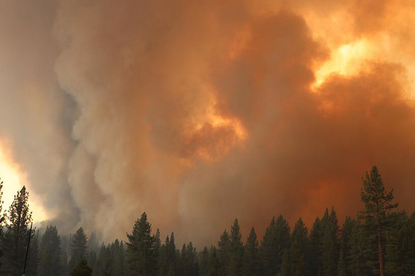 Phát triển phương pháp dự đoán theo mùa về cháy rừng ở miền Tây nước Mỹ