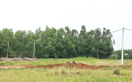 Chuyển mục đích sử dụng đất tại tỉnh Thái Bình