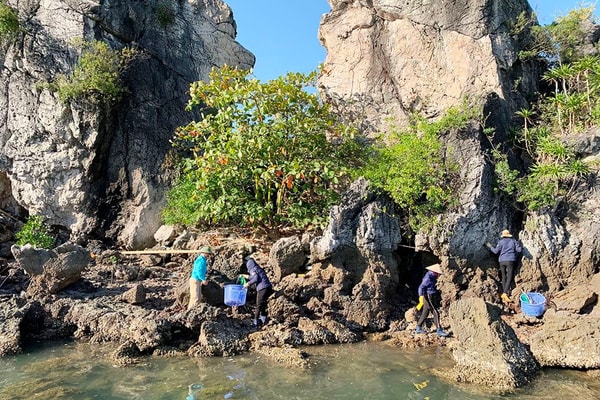 Quảng Ninh: Góp mảng xanh vào Trái đất xanh