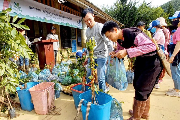 Gần 6.000 cây được trồng ở Vân Hồ nhân Ngày Môi trường thế giới 2022