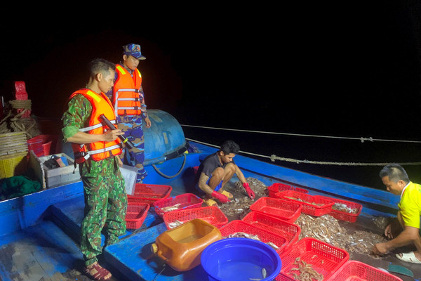 Bắt giữ nhiều tàu giã cào trái phép trên vùng biển Thừa Thiên - Huế