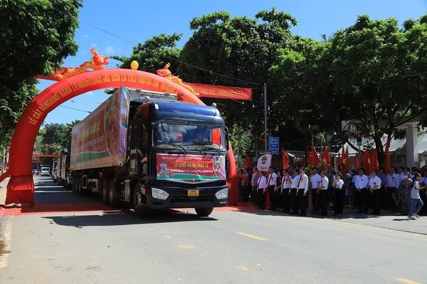 20 tấn nhãn Sơn La lên đường sang thị trường EU và Vương Quốc Anh