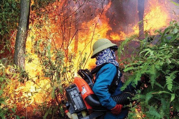 Nghệ An: Cảnh báo cháy rừng cấp cực kỳ nguy hiểm
