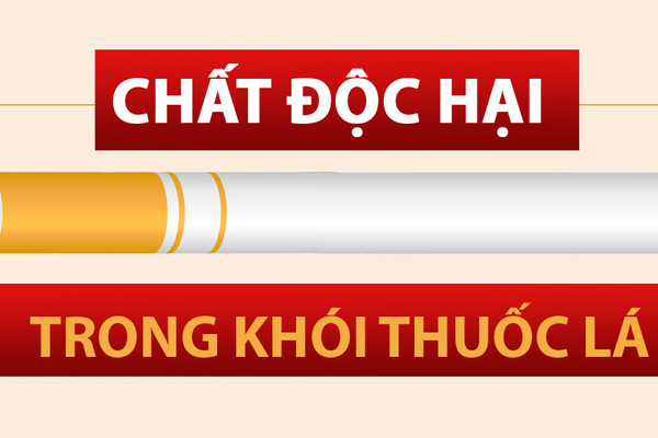 [Infographic] – 4 nhóm chất gây hại cho sức khỏe trong khói thuốc lá