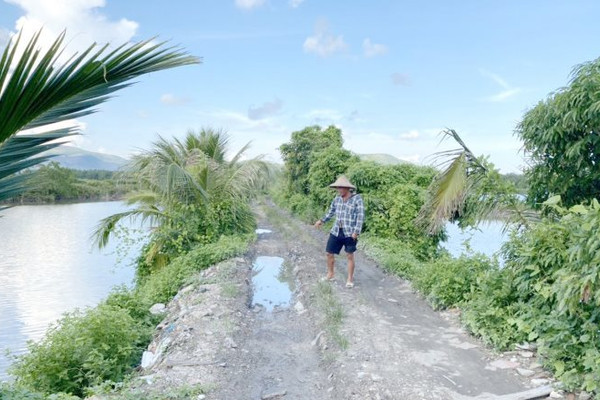 Quảng Ninh: Dân sống thấp thỏm bên tuyến đê biển xuống cấp