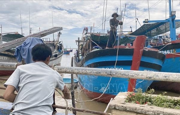 Phú Yên chủ động các kịch bản bảo đảm an toàn về người và tài sản trước bão Noru