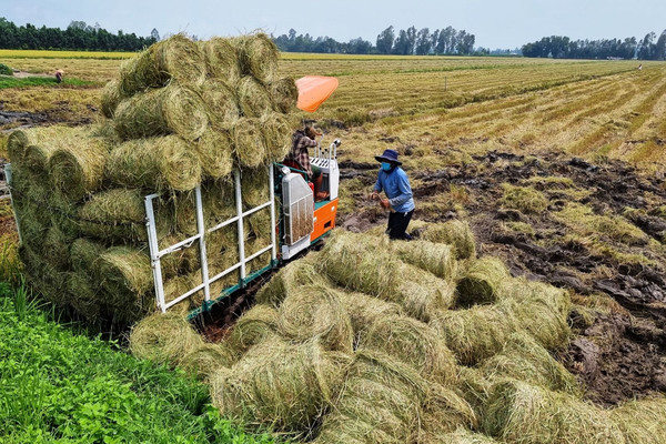 Thúc đẩy phát triển nông nghiệp tuần hoàn tại  Việt Nam