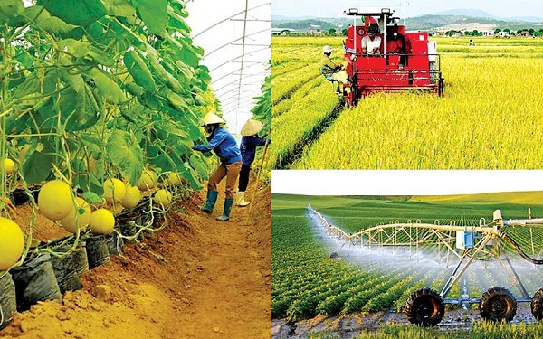 Phát huy vai trò của doanh nghiệp nông nghiệp trong tăng trưởng xanh