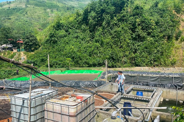 Phù Yên – Sơn La: Kiểm soát môi trường trong sơ chế nông sản