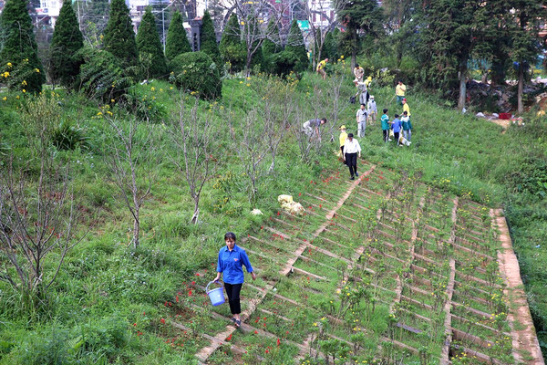 Sa Pa - Lào Cai: Thành phố trong mây, chỉ trồng cây không xả rác
