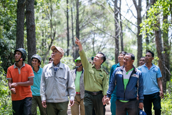 Chính sách chi trả dịch vụ môi trường rừng tại Lâm Đồng