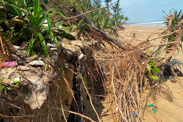Quảng Ngãi: Người dân bất an trước nguy cơ gia tăng xâm thực bờ biển 