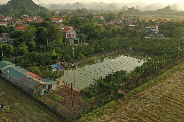 Ninh Bình: Dân tố nguyên Bí thư xã chuyển đổi trái phép hàng nghìn m2 đất nông nghiệp