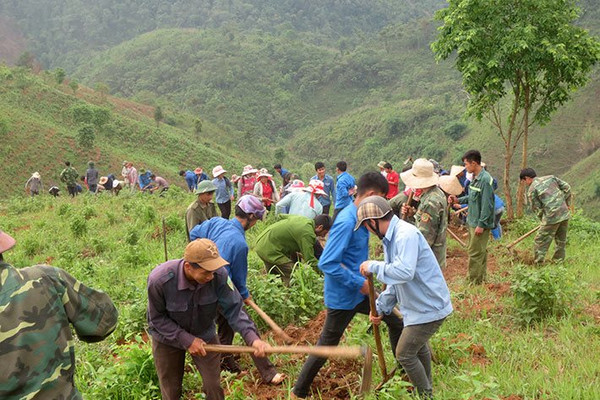 Mường Ảng (Điện Biên): Diện tích rừng trồng phòng hộ tăng nhanh