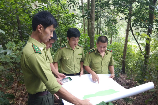 Lợi ích kép từ giữ rừng ở Lai Châu