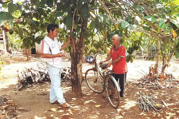 Gia Lai: Người dân làng Breng 2 nhận lại đất cho thuê sau 25 năm