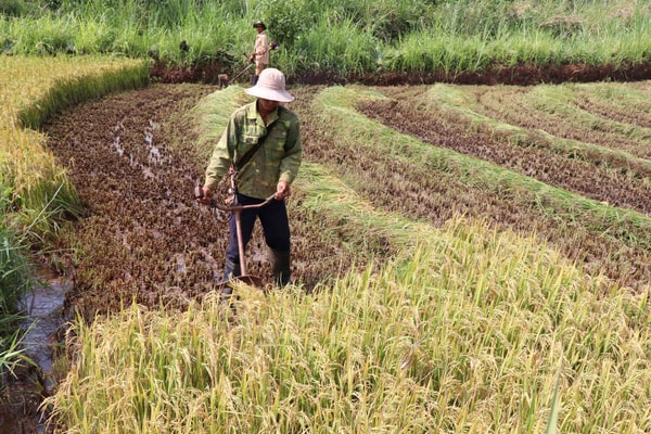 Gia Lai giải cơn khát cho đất nông nghiệp