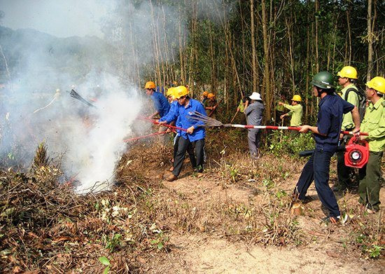 Duy Xuyên, Quảng Nam: Tăng cường nhiều biện pháp phòng chống cháy rừng