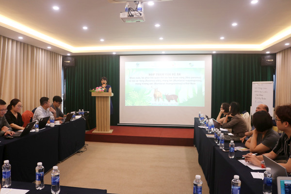 Tái phục hồi quần thể các loài thú móng guốc nguy cấp tại Việt Nam