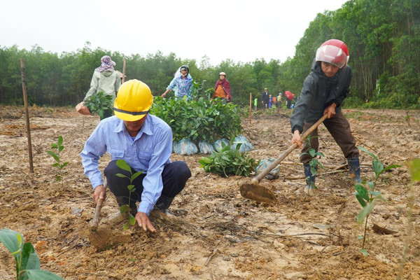 Huyện Cam Lộ, tỉnh Quảng Trị tổ chức trồng cây “Hành động vì một Việt Nam xanh”