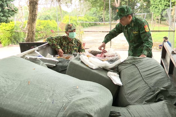 Quảng Trị: Phát hiện các vụ vận chuyển nội tạng động vật, mỹ phẩm trái phép khu vực biên giới