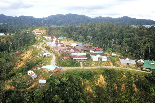 Chính sách chi trả DVMTR ở Kon Tum: Động lực để giữ rừng