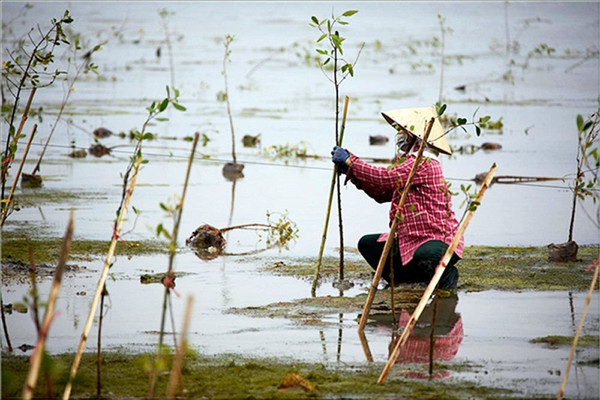 Lồng ghép giới trong thực hiện chính sách khí hậu: Việt Nam sẽ là thành viên tích cực