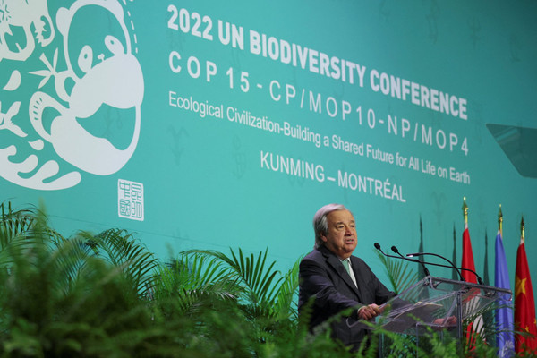 COP 15 và tham vọng về bảo tồn đa dạng sinh học trong thập kỷ tới
