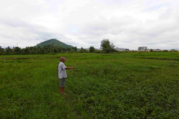 Bình Định: KCN Hòa Hội thoát nước gây sa bồi thủy phá đất canh tác của người dân 