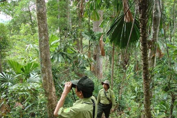 Quảng Ngãi: Tăng cường bảo vệ tài nguyên rừng, đa dạng sinh học