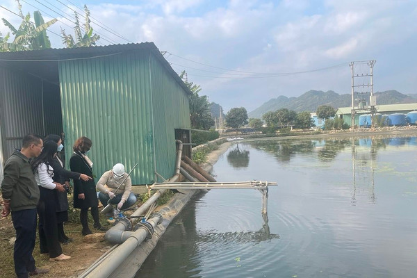 Sơn La: Phòng ngừa nguy cơ ô nhiễm từ chế biến nông sản dịp Tết Nguyên đán 