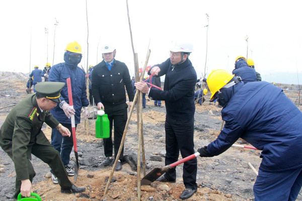 Quảng Ninh: Phát động "Tết trồng cây đời đời nhớ ơn Bác Hồ" Xuân Quý Mão 2023 