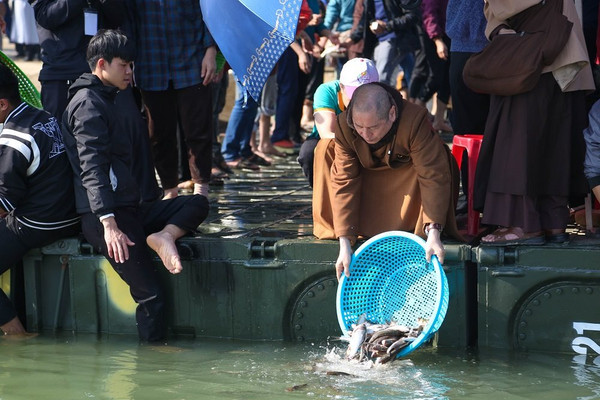Nghệ An: Chùa Viên Quang phóng sinh 10 tấn cá xuống sông Lam