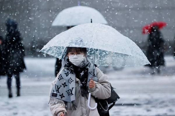 Tuyết rơi dày tại Nhật Bản gây gián đoạn các chuyến bay và tàu hỏa