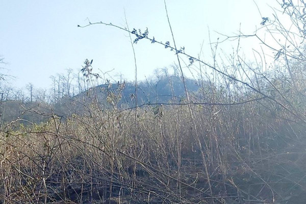 Lào Cai: Khống chế thành công các điểm cháy không để lan vào rừng