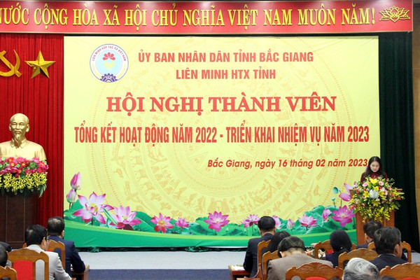 Bắc Giang: Phấn đấu thành lập mới ít nhất 80 HTX trong các lĩnh vực, trong năm 2023