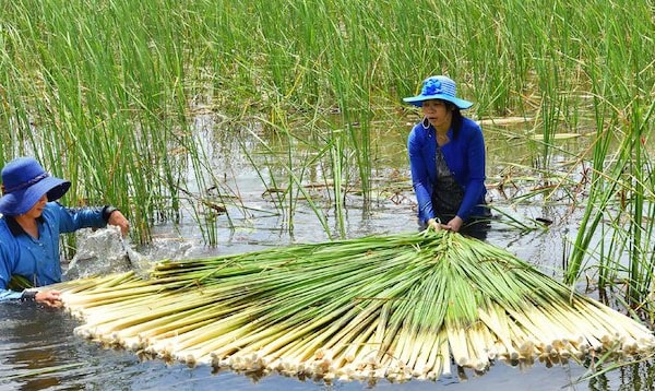 Quyết tâm thực hiện mục tiêu xóa đói giảm nghèo