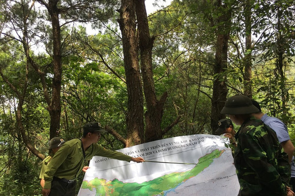 Sơn La: Chấn chỉnh các chủ rừng trong thực hiện DVMTR