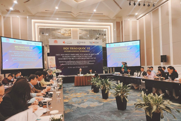 Thúc đẩy phát triển khu vực kinh tế hợp tác đa dạng và bền vững ở Việt Nam