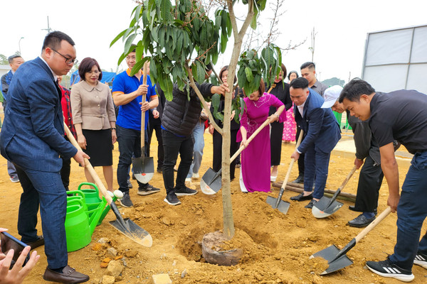 Phát động lễ trồng cây chương trình “Trường xanh”