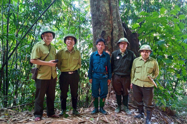 Phát triển kinh tế rừng ở vùng biên xứ Thanh