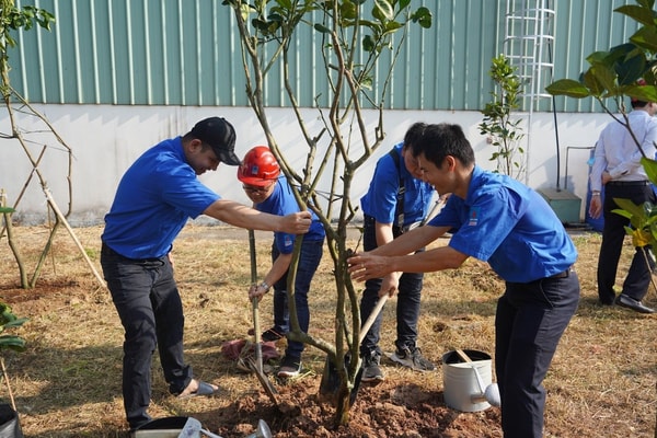 PVFCCo ra quân chương trình trồng 300.000 cây xanh