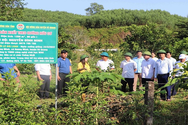 Huyện Vũ Quang (Hà Tĩnh): Mạnh dạn đưa nhiều mô hình nông nghiệp hữu cơ vào áp dụng
