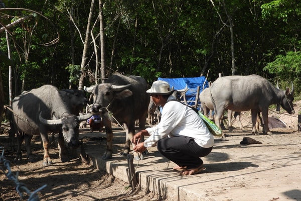 Con đường ấm no mang tên Lộc Khánh