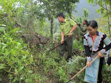 Lai Châu rừng phủ xanh nhờ chính sách chi trả dịch vụ môi trường rừng